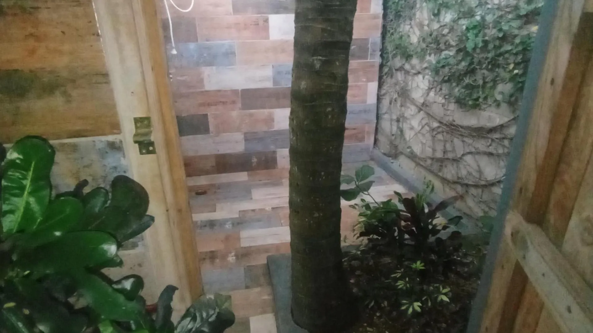 Bed and Breakfast Paraiso Hortensia Honeymoon Suite Santiago De Los Caballeros