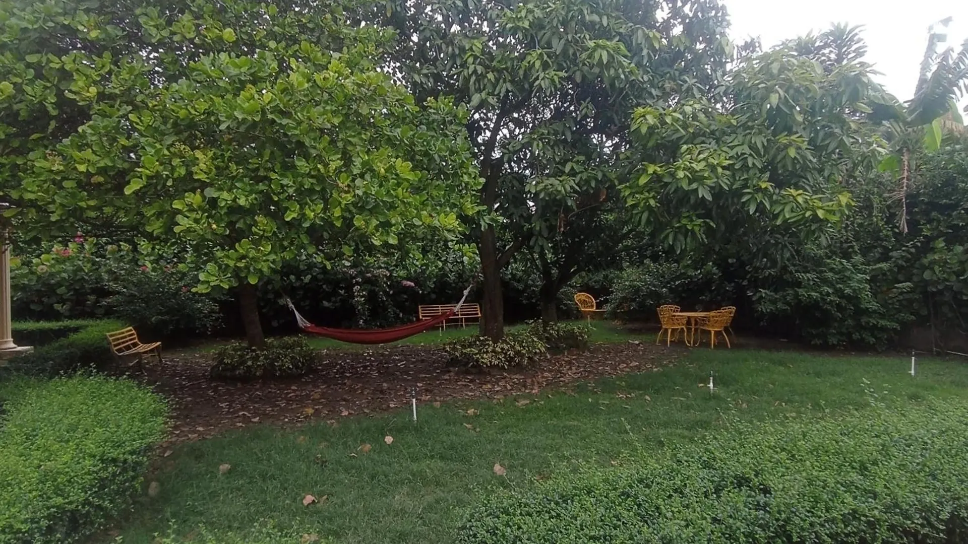 Bed and Breakfast Paraiso Hortensia Honeymoon Suite Santiago De Los Caballeros Δομινικανή Δημοκρατία